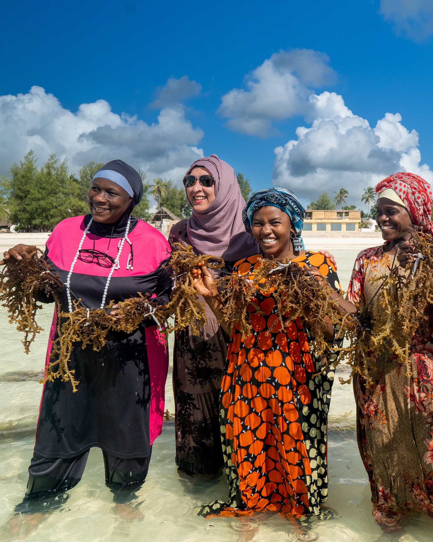 zanzibar45 zanzibar
